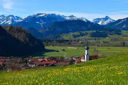 Ein letztes mal Löwenzahnblüte mit den klassischen IC Zügen im Allgäu.