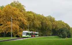 Bei Colombier ist der Be 4/8 der TN am 10.10.2025 in Richtung Boudry unterwegs