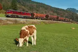 Ludmilla 232 086 am 29.10.2025 zwischen den Ortschaften Neuhaus und Aurach.