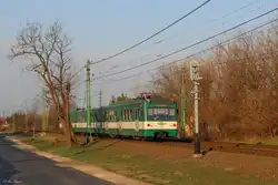 Im ersten Sonnenlicht des 15.3.32026 fährt der MX Wagen Nr.