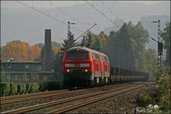 Teleaufnahme auf die 225 081 und 225 008.