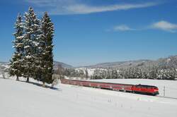 218 223 mit RB 32606 bei Hopfen am See (06.03.2008)