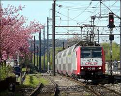 E-Lok 4018 scheint die Pracht der bl�henden japanischen Kirschb�ume nicht zu beachten, sie f�hrt seelenruhig mit ihrer Zuggarnitur am 29.04.08 in den Bahnhof von Mersch ein.