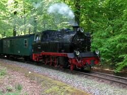 99 4801 f�hrt aus dem Haltepunkt Jagtschlo� Granitz aus, 12.05.08