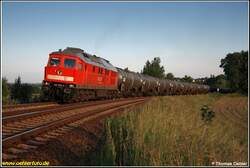 Am Abend des wundersch�nen 02.06.08 k�mpft sich 241 353 mit einem vollen Kesselzug die Steigung vor Wittgensdorf hinauf.