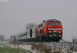 218 219 mit RE Prag - N�rnberg, bei Reichenschwand.