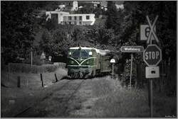 Diesellok 2050 04 f�hrt mit Sonderzug 19815 von Leoben nach Lavam�nd.