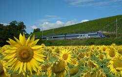 X 72674 als TER 96630 Gen�ve - Valence bei Russin am 5.