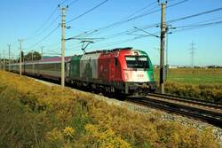 Selten auf der Westbahn anzutreffen ist die 1216 004 (EM-Lok Italien).