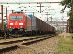 Blick entlang des Containerzuges, den 185 330-8 am 13.08.09 bis Padborg gebracht hat und nach einem kurzen Aufenthalt weiter nach Hamburg bringen wird.