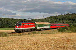 9.8.08 Ein richtig gutes Bild macht die 1142 688 mit dem ER 2116 von Wien FJB nach Gm�nd.