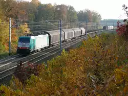 Cobra-Lok 2828 zieht einen gemischten G�terzug durch den herbstlich gef�rbten Wald von Moresnet-Chapelle nach Aachen-West.