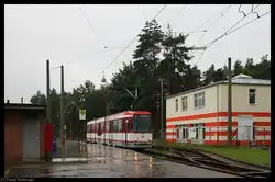 Am 06.