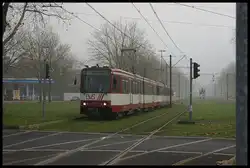 An einem Nebeligen Tag f�hrt B80C 4717 mit B80C xxxx in die Haltestelle Freiligrathplatz in D�sseldorf