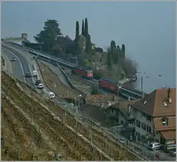 Der IR 1735 mit einer Re 460 begegnet bei St-Saphorin dem IR 1728 von Brig nach Gen�ve A�roport, welcher von einer Re 4/4 II gezogen wird.