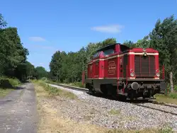 D25 (ex-DB 211 345-4) der Bentheimer Eisenbahn AG w�hrend eine Lokfahrt f�r die Emsl�ndische Eisenbahn GmbH zwischen Hasel�ne und Meppen bei Bokeloh am 16-7-2010.