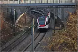 Etwas vom See entfernt, Seehas unter der ehemaligen Bahnbr�cke der Hilzinger Strecke.