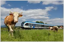 5063 008 am 17.5.2012 als Sonderzug R 4366 (bei der R�ckfahrt bis zur Abzweigung Gleinst�tten als Nebenfahrt 102) von Gleinst�tten nach Bergla, aufgenommen in Gasselsdorf.