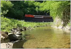 2095 013 f�hrt mit R 6813 bei Schwarzenbach Richtung Gegenlicht.