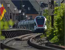 Ein Seehas �berquert die Rheinbr�cke in Konstanz.