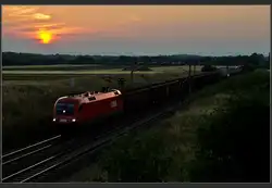 1116 mit G�terzug vor Gramatneusiedl, 19.6.2012.