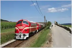 Einen besonderen Gast gab es bei der heurigen Sonnwendfeier in der Wachau.