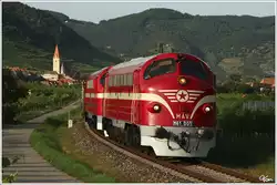 Einen besonderen Gast gab es bei der heurigen Sonnwendfeier in der Wachau.