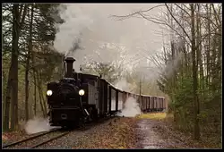 298.102 mit Fotozug im Wald bei Rossegg am st�rmischen 6.1.2012
