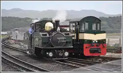 Double Fairlie Nr 11 