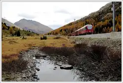 R1648 zwischen Bernina Suot und Morteratsch.