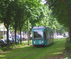 Aufgrund von Einwendungen der Anwohner und von Natursch�tzern durfte die Rebstockstra�enbahn im Abschnitt zwischen Varrentrappstra�e und Nauheimer Stra�e nur eingleisig gebaut werden, um den im Bild
