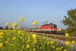 Im Abendlicht f�hrt 1144.240 mit EC-159 kurz vor Wr.Neustadt s�dw�rts.