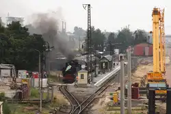 Wie eine trotzige 
