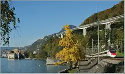 Durch den bunten Herbst beim Ch�teau de Chillon f�hrt ein Pinocchio Richtung Milano.