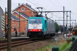 Cobra 2827 von Zeebr�gge kommend bei Lissewege am 11.02.2013