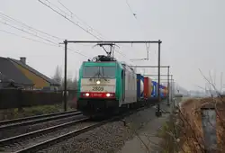 Cobra 2809 mit Container aus Zeebr�gge kommend vor Bf Lissewege am 14.02.2013