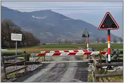 RhB Bahn�bergang zwischen Zizers und Igis.