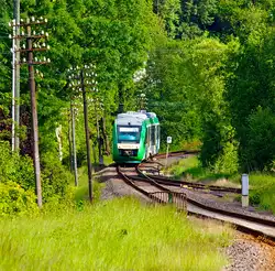 In den gr�nen W�ldern des Westerwaldes....