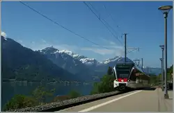 Interessant, was alles so dem Brienzersee entlang flattert:   Ein 