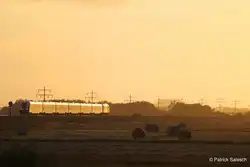 NOB81823 Westerland->Husum mit einem ER20 xxx im sch�nstem Abendlicht  zwischen Westerland und Nieb�ll kurz vor Morsum auf Sylt am Abend des 10/07/13.