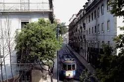 Im April 1984 befährt der Lisssaboner Standardtriebwagen 241 die Ringlinie 25/26, die von Estrela über Martim Moniz und Gomes Freire bzw.
