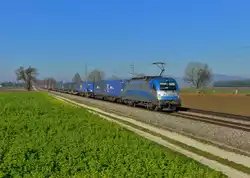 1216 920 mit DGS 41157 am 07.12.2015 bei Langenisarhofen.