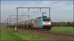 Cobra Lok 2842 ist mit einen Kesselwagenzug unterwegs nach Aachen West.