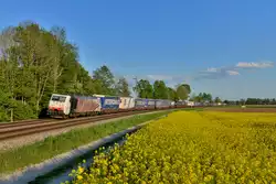189 918 mit DGS 41850 am 07.05.2016 bei Langenisarhofen.