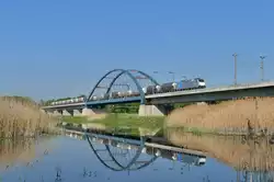 186 429 mit einem Silozug am 11.05.2016 auf der Oderbrücke bei Slubice.
