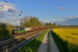 193 242 mit einem Holzzug am 25.04.2016 bei Langenisarhofen.