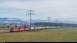 Crossrail UKV-Zug mit Re 430 112, 115 und 114.