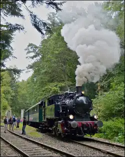 - Rauchfahne im Wald - Die Dampflok KDL 7 
