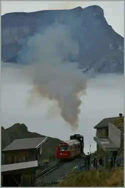 Der letzte Zug f�r heute trifft in der Station Brienzer Rothorn ein.