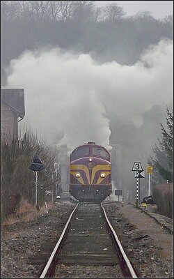 Die Diesellok 1604 verrichtet am 25.01.09 zusammen mit der Dampflok 5519 Pendelfahrten zwischen Ettelbr�ck und Bissen.